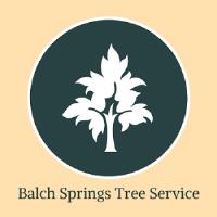 Balch Springs Tree Service image 1
